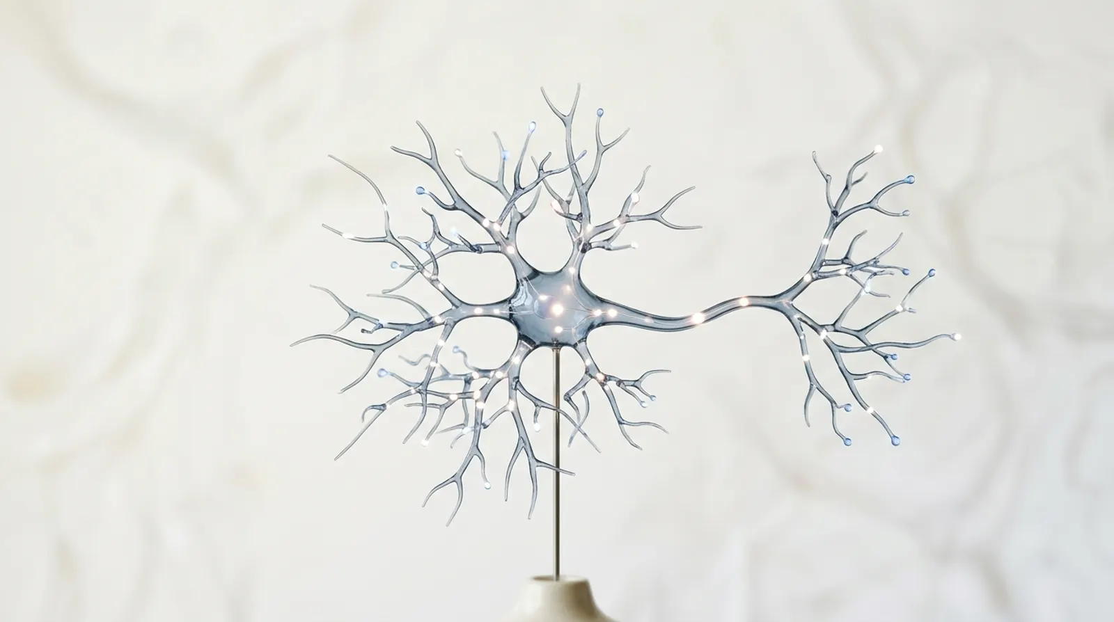 A delicate branching glass neuron sculpture with glowing nodes